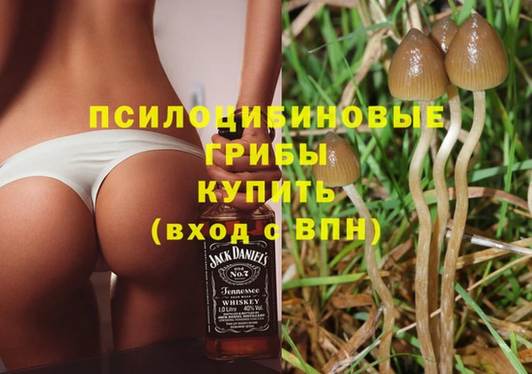 мдпв Зеленодольск