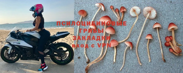 ешки Беломорск