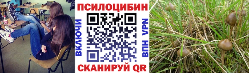 Галлюциногенные грибы мухоморы  закладка  Мглин 